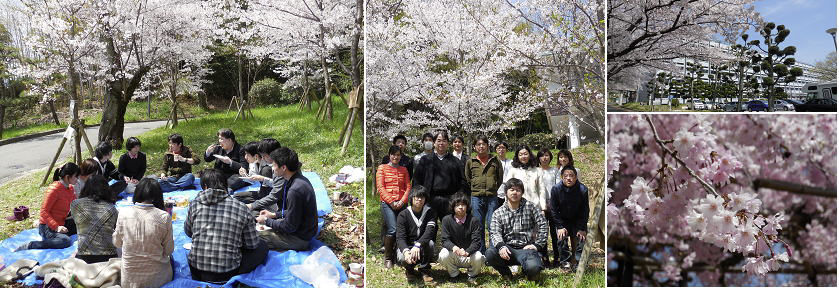 恒例！のお花見会　